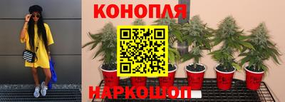 меф Нальчик