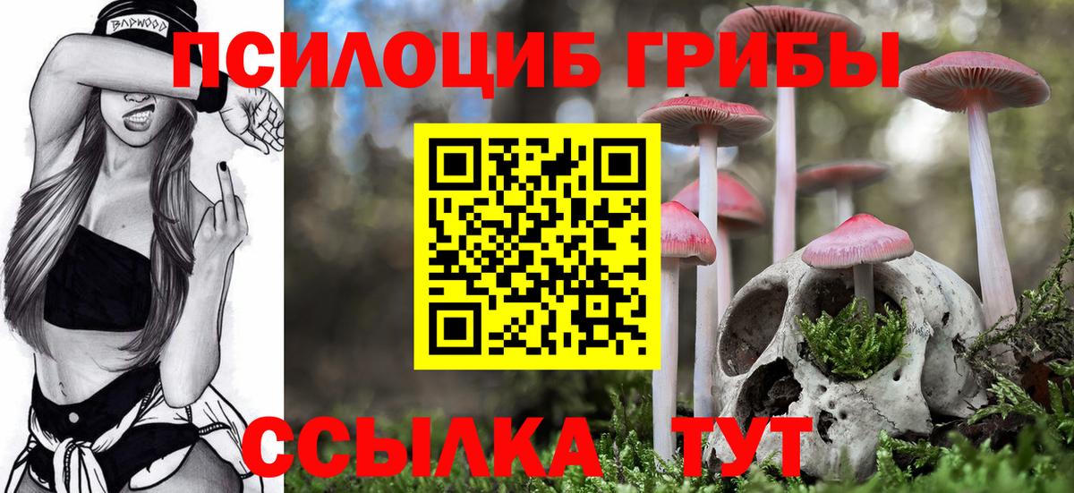 Галлюциногенные грибы MAGIC MUSHROOMS  Вход с VPN  Озёры 